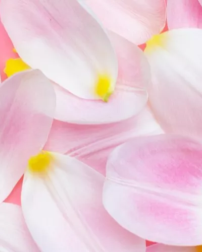 Goodbye Synthetic Silicones: Embracing Natural Silicone Alternatives